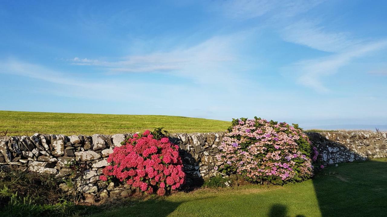 Вилла 31 Laigh Isle Isle of Whithorn Экстерьер фото